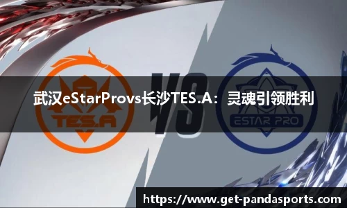 武汉eStarProvs长沙TES.A:灵魂引领胜利