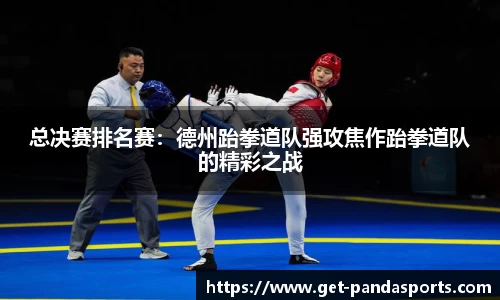 总决赛排名赛：德州跆拳道队强攻焦作跆拳道队的精彩之战