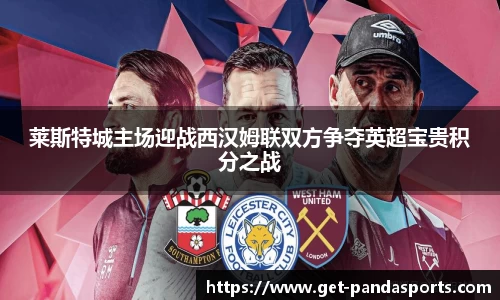莱斯特城主场迎战西汉姆联双方争夺英超宝贵积分之战